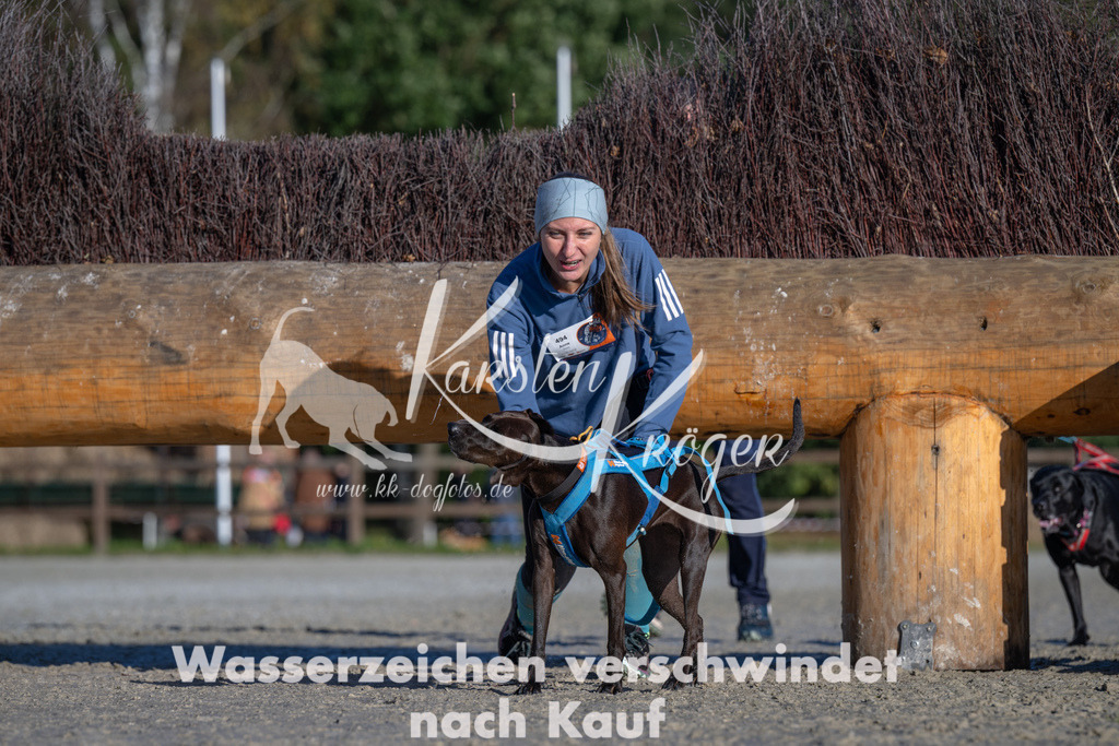 1046-_ZZ92517 | kk-dogfotos