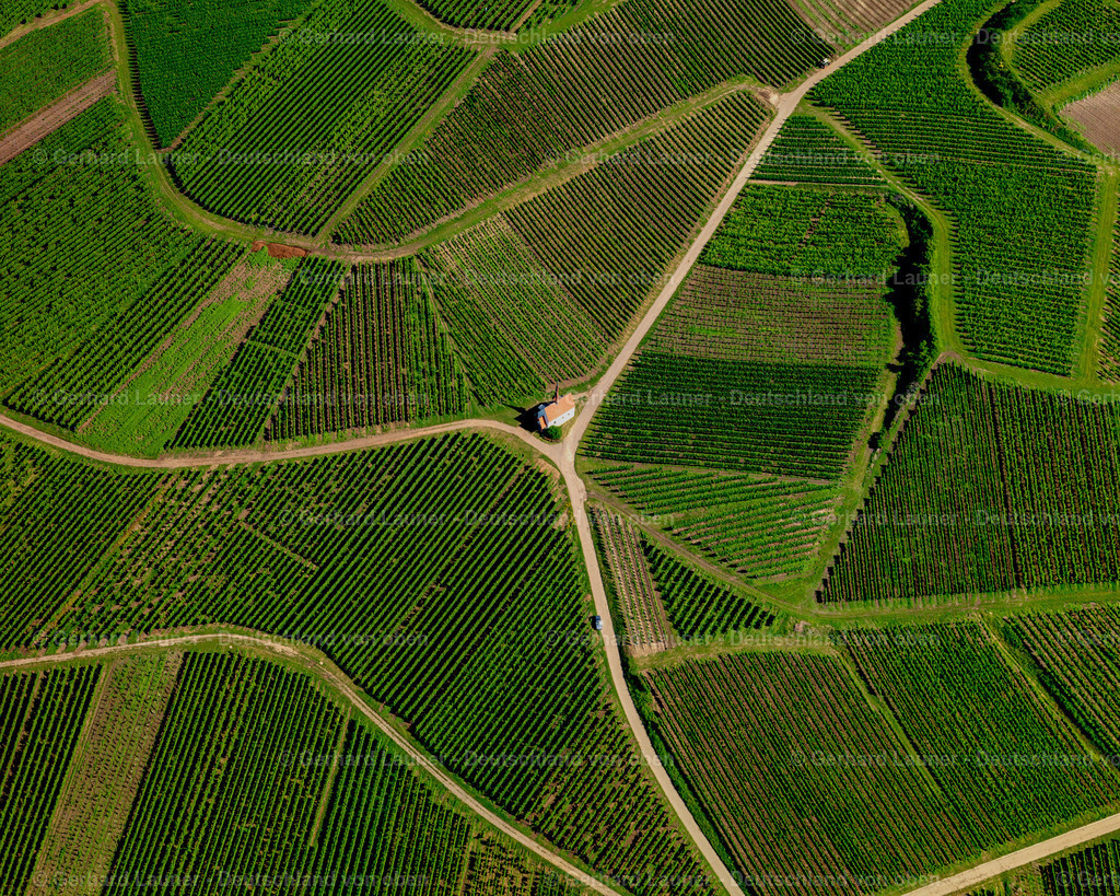 2700051 | Eichert Weinbergskapelle bei Jechtingen, Kaiserstuhl