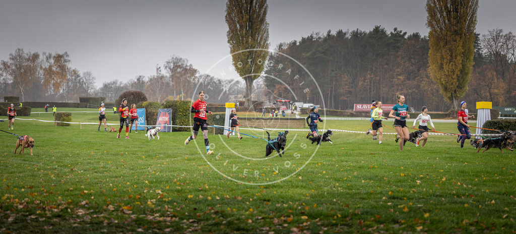 CaniXpix_DV3A8855 | Hundefotografie, Tierfotograf, Pfotenfotografie, Fotoshooting Hund, Hunde Portrait, Hundesport, Hundeportraits, Heideshooting, Hunde, Sportfotograf, Hundefotograf, Turnierhundsport, THS,  - Realisiert mit Pictrs.com