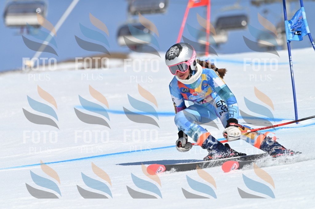 BGV_8692 | holidayphoto