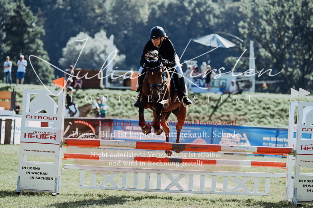 DSC_5787 | Pferde- und Turnierfotografie in Westsachsen. Pferdeportraits, Auftragszeichnungen und intuitive Kunst.