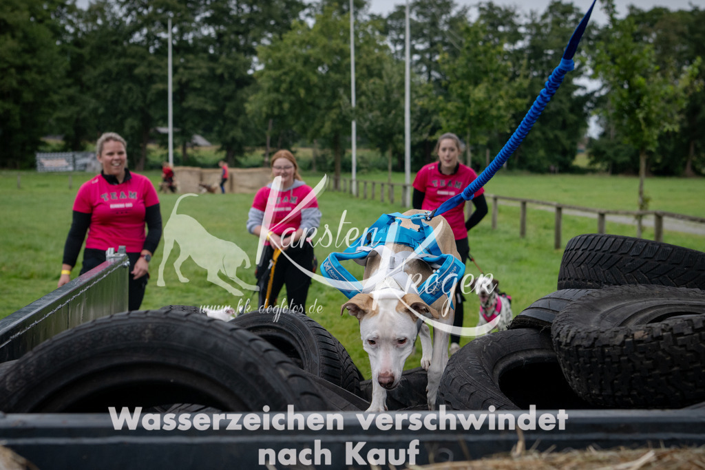 1221_ZZ90316 | kk-dogfotos