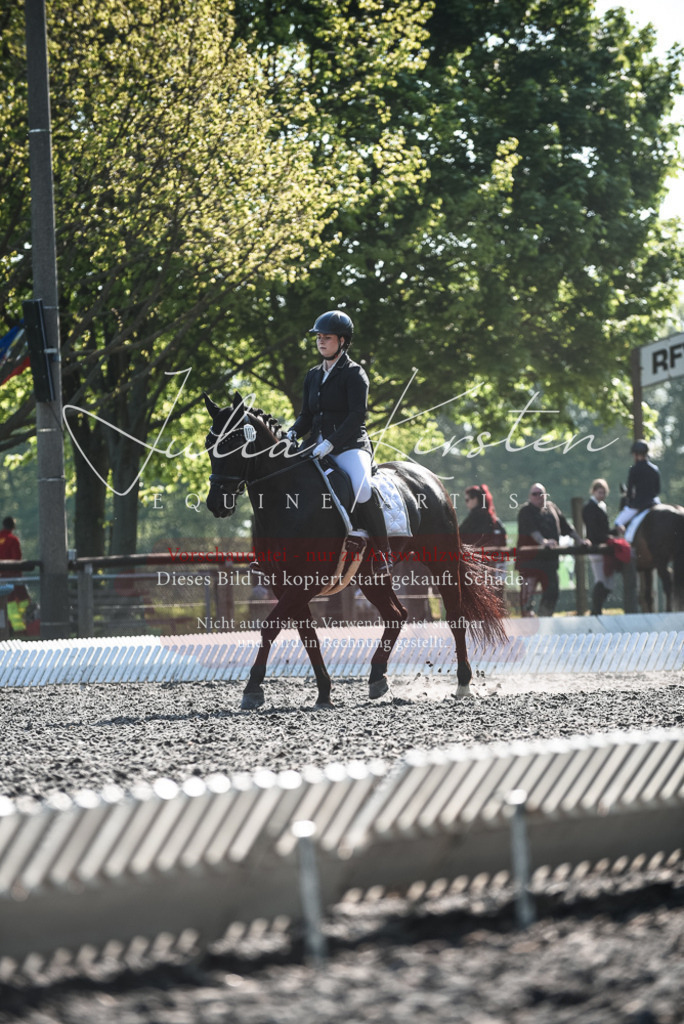 DSC_8597 | Pferde- und Turnierfotografie in Westsachsen. Pferdeportraits, Auftragszeichnungen und intuitive Kunst.