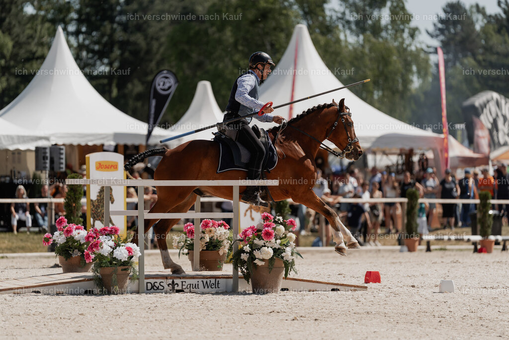 WE_SP_Stoib_339_PI2025_1506 | Pferd International München 2025