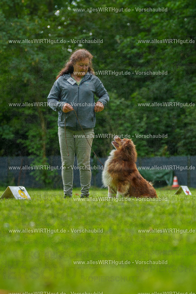 @allesWIRTHgut_Tierfotografie - www.allesWIRTHgut.de - 7R505114 | Professionelle Tierfotografie in Mönchengladbach von Daniel Wirth (allesWIRTHgut). Liebevolle & natürliche Bilder von Hunden & Katzen für unvergessliche Erinnerungen.