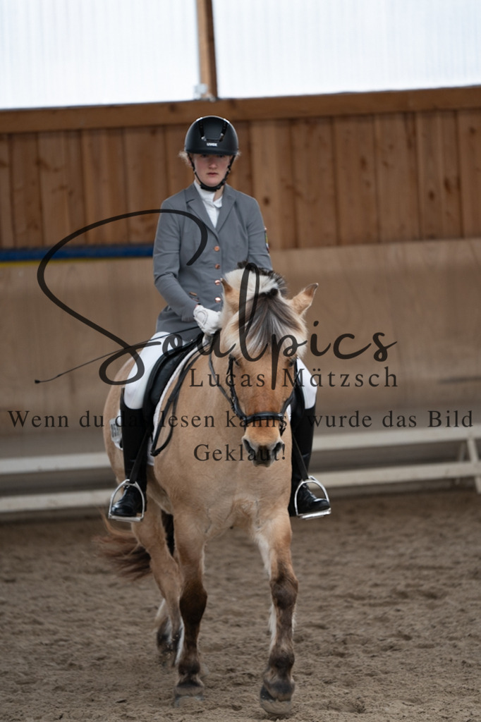 A7V09653 | Pferdefotograf