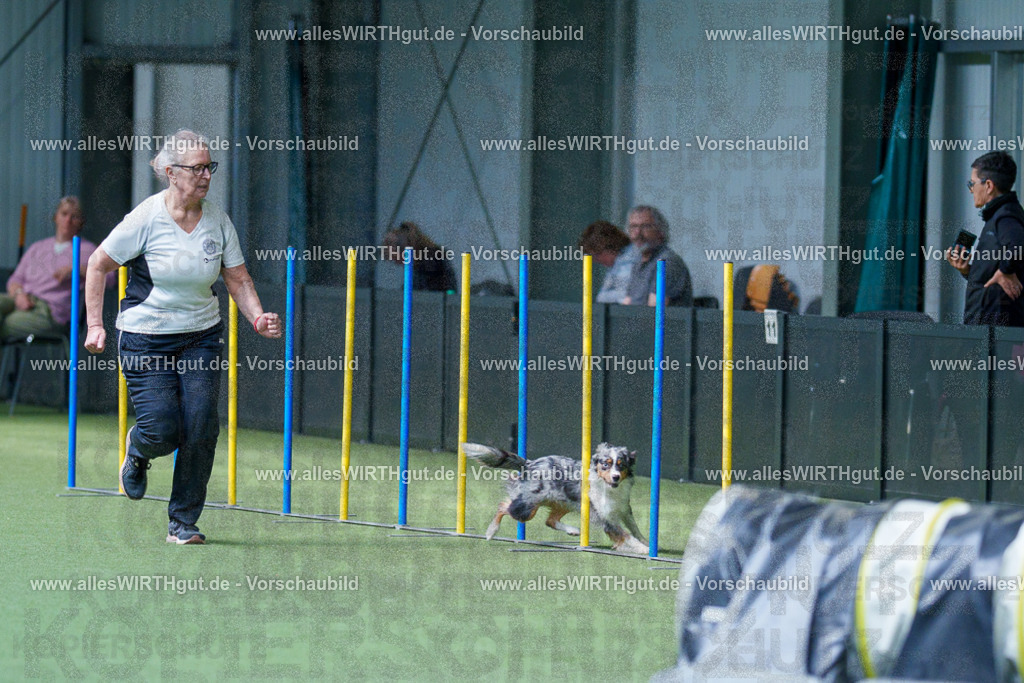 @allesWIRTHgut_Tierfotografie - www.allesWIRTHgut.de - 2604251443-7R505391 | Professionelle Tierfotografie in Mönchengladbach von Daniel Wirth (allesWIRTHgut). Liebevolle & natürliche Bilder von Hunden & Katzen für unvergessliche Erinnerungen.