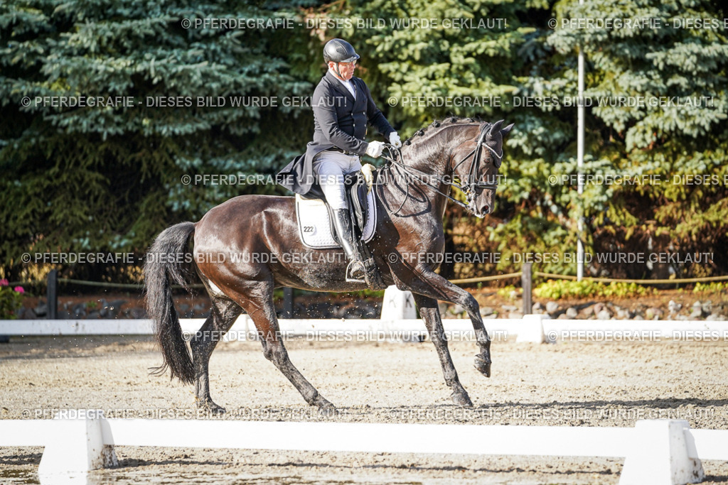 DSC00827 | Pferdegrafie