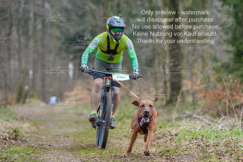 BikekurzSa-41 | stephaniefillaphotographie - Realisiert mit Pictrs.com
