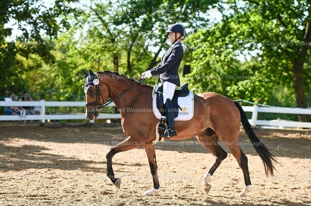 20230715_06_Dressurpferdeprfg. Kl.A_0201 | equistock