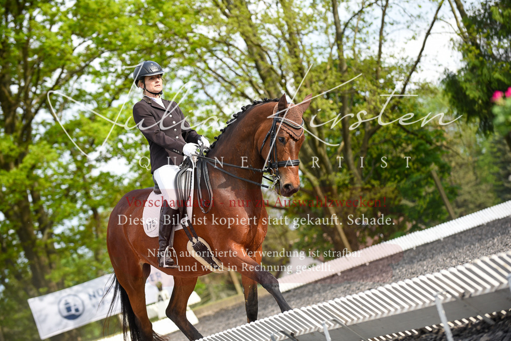 20230513_JK-Röhrsdorf-17-340 | Pferde- und Turnierfotografie in Westsachsen. Pferdeportraits, Auftragszeichnungen und intuitive Kunst.