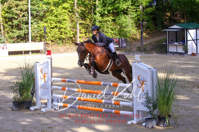 DKP42430 | Turniersportfotografie; Pferdefotografie; Dressurfotografie