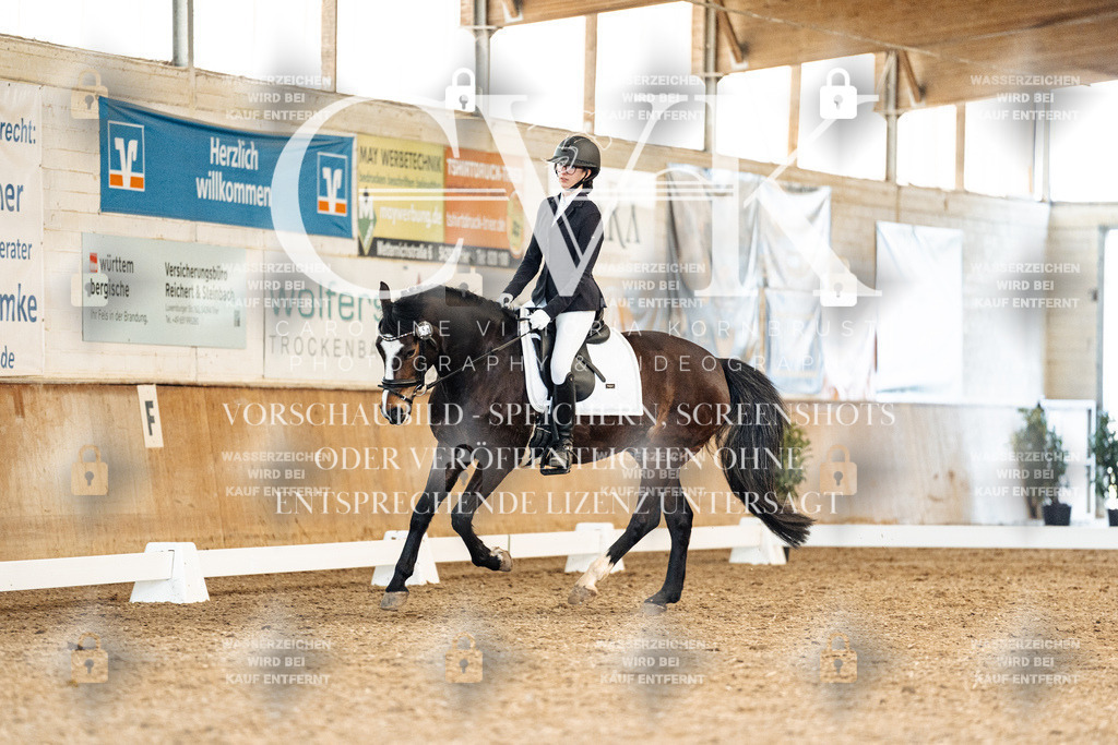 CK909755 | Turnierfotografie Pferdefotografie Trier Rheinland-Pfalz Pferdesport Reitsport Tierfotografie Sportfotografie Pferdevideo Pferdevideografie Equestrianvideography equestrianphotography  - Realisiert mit Pictrs.com