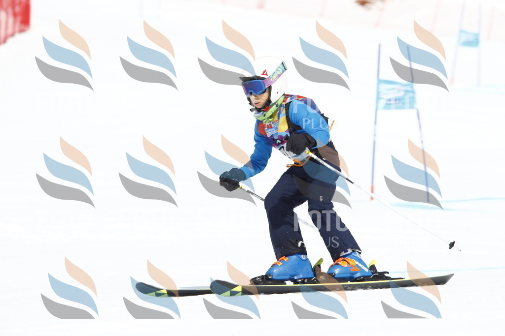 _U3G4528 | holidayphoto