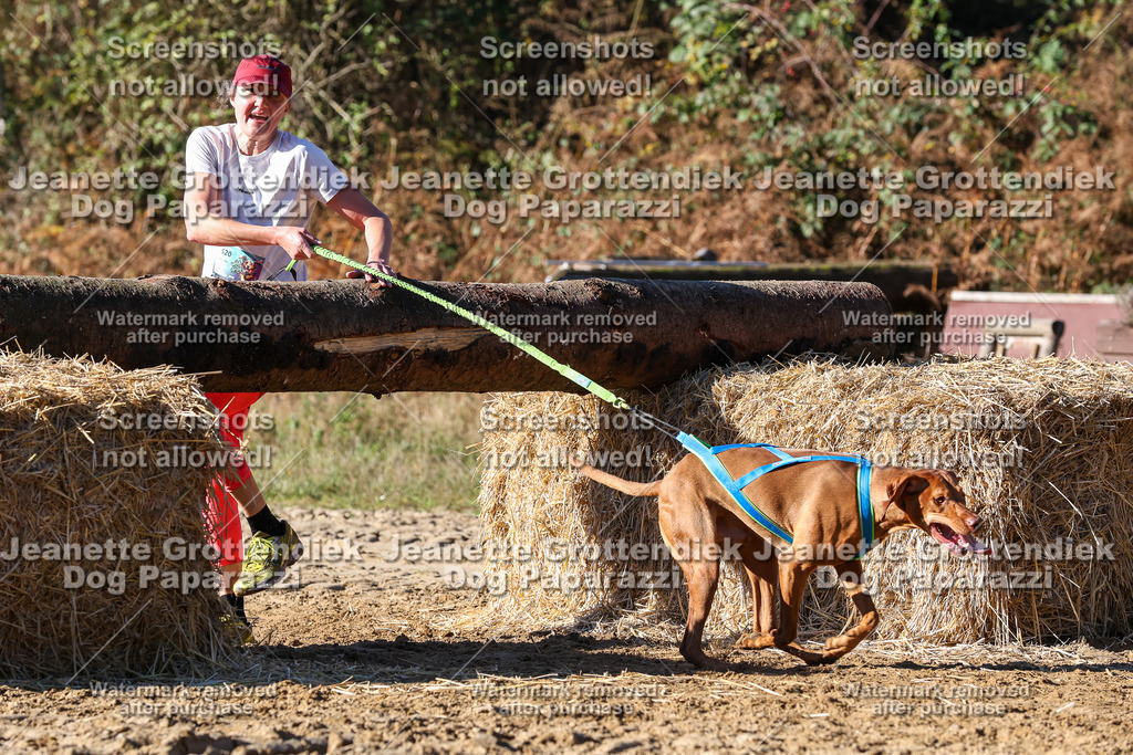 Dog Paparazzi - Strongdog 10-25-2339 | Dog Paparazzi Jeanette Grottendiek Fotografie & Videografie