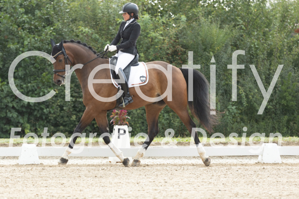 IMG_4064 | Creatify Fotografie