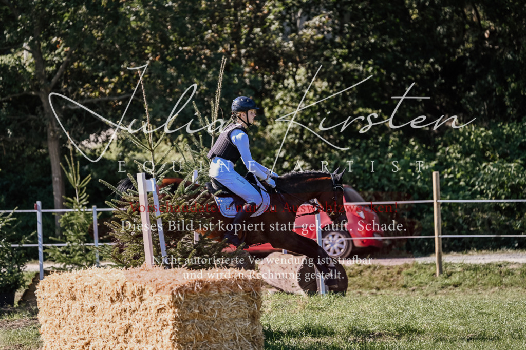 DSC_2934 | Pferde- und Turnierfotografie in Westsachsen. Pferdeportraits, Auftragszeichnungen und intuitive Kunst.