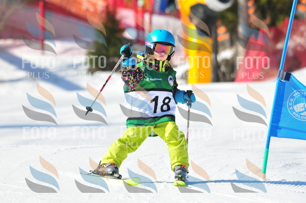 C2494 | holidayphoto