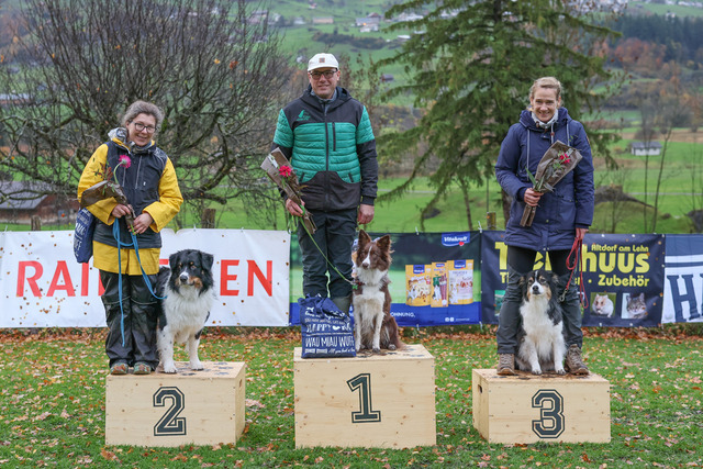 2025_Rally_Obedience_SM-278 | Ich fotografiere Hundeausstellungen, Sportanlässe, Zuchtstätten, Hundezucht, Hundeportrait, Lagotto - Realisiert mit Pictrs.com