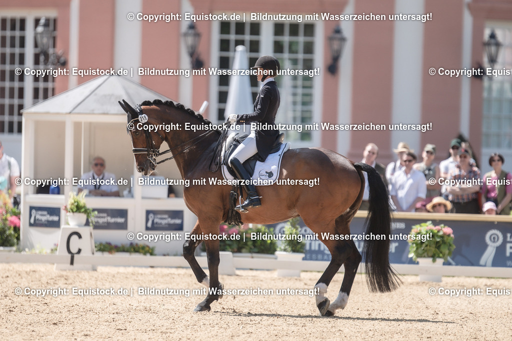 20230528_03_GP-Special-Tour_0150 | equistock