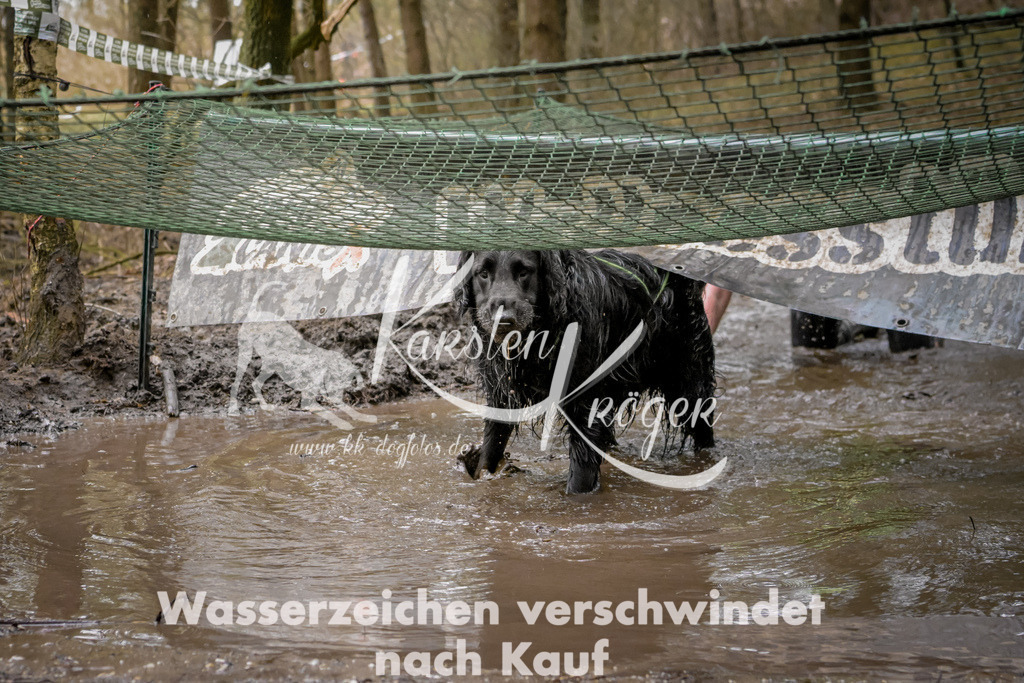 1002_ZZ99035 | kk-dogfotos