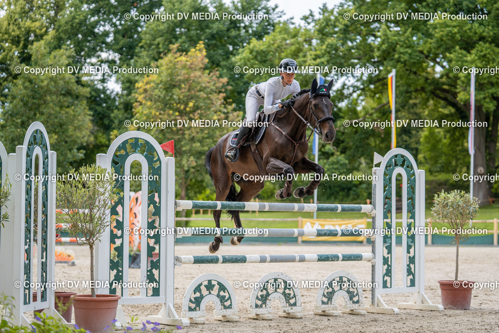 Hessische Tag 3-511 | dv-media-shop - Realisiert mit Pictrs.com