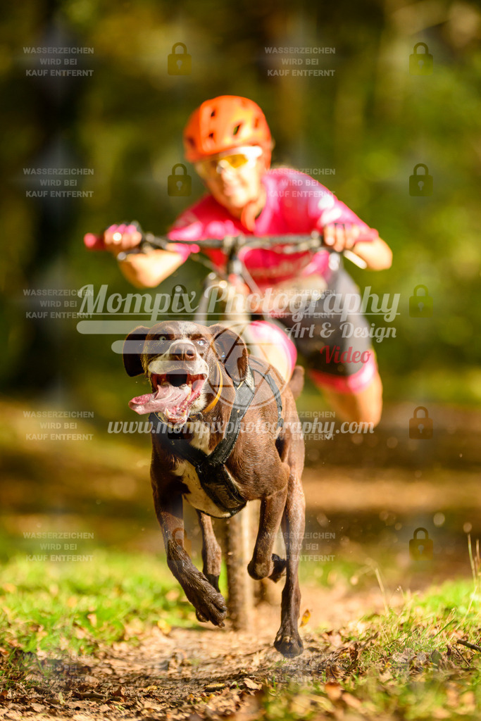 MompixPhotography_20TSB_E1_DS1-18 | PayLife