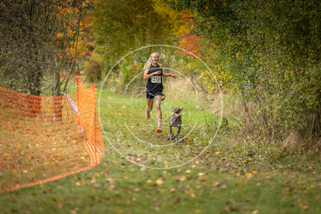 Pfotenfotografie_DV3A4446 | Hundefotografie, Tierfotograf, Pfotenfotografie, Fotoshooting Hund, Hunde Portrait, Hundesport, Hundeportraits, Heideshooting, Hunde, Sportfotograf, Hundefotograf, Turnierhundsport, THS,  - Realisiert mit Pictrs.com