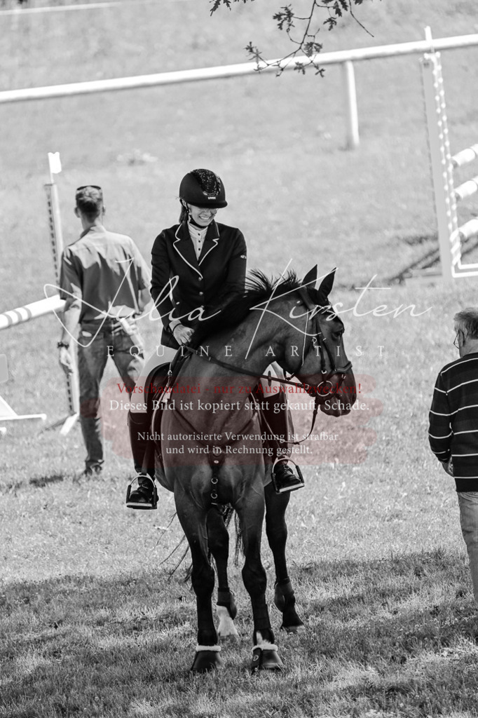 DSC_0045 | Pferde- und Turnierfotografie in Westsachsen. Pferdeportraits, Auftragszeichnungen und intuitive Kunst.