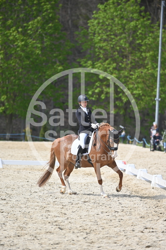 DSC_4592 | sattelsport - Realisiert mit Pictrs.com