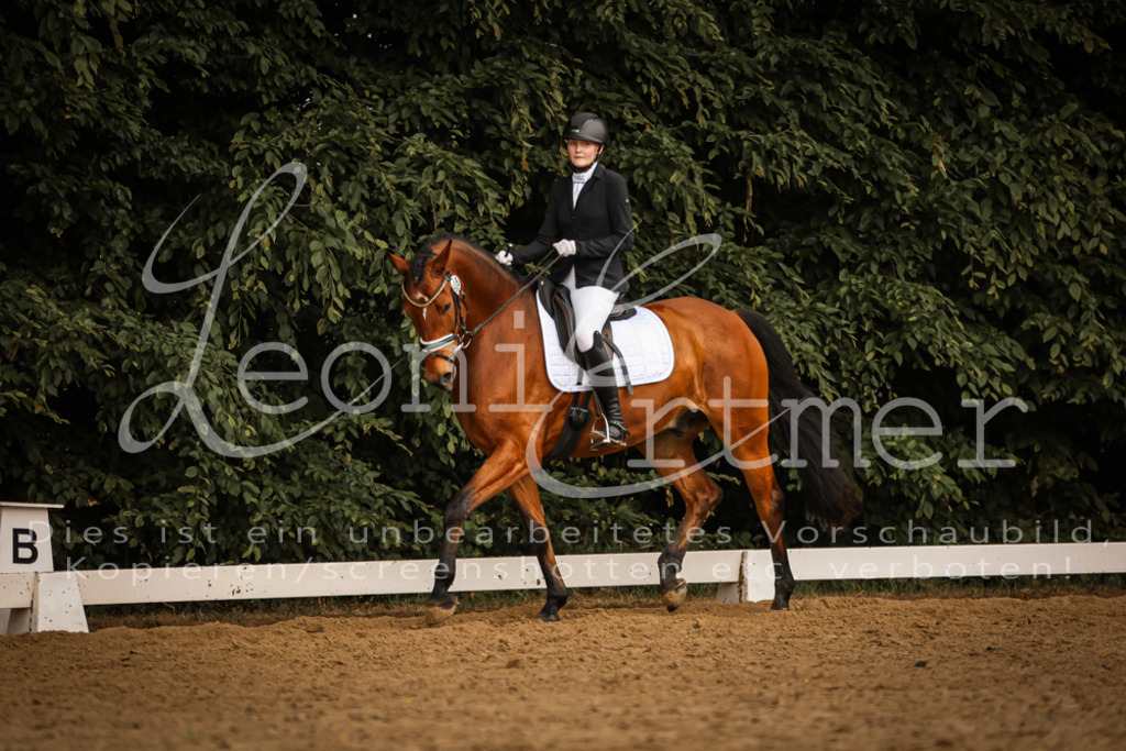 DoDrA200082 | Leoni Ertmer Photography - Realisiert mit Pictrs.com