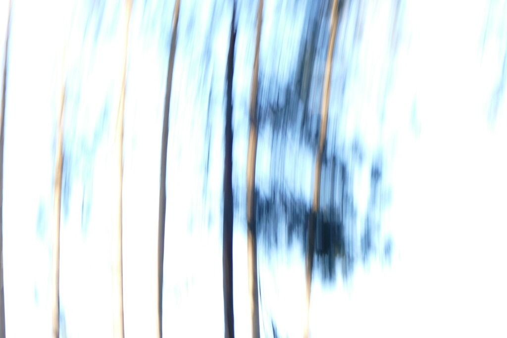P4050770_a | Annaeherungen - Realisiert mit Pictrs.com