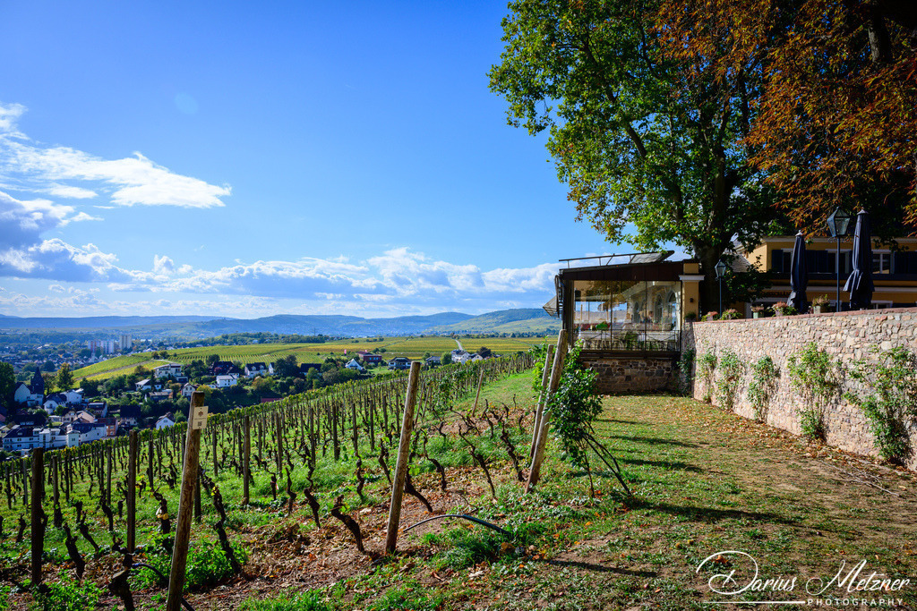 _DSC0402 | Fotografien, Fotos und Bilder aus Mainz, Frankfurt, Wiesbaden und anderen Orten auf der Welt - Fotografiert von Darius Metzner