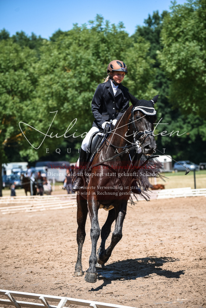DSC_2830 | Pferde- und Turnierfotografie in Westsachsen. Pferdeportraits, Auftragszeichnungen und intuitive Kunst.