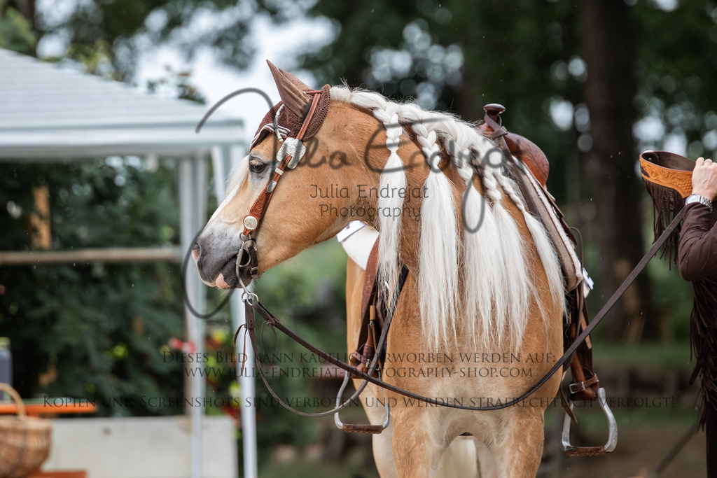 20220623-JuliaEndrejatPhotography-0043 | Julia Endrejat Photography