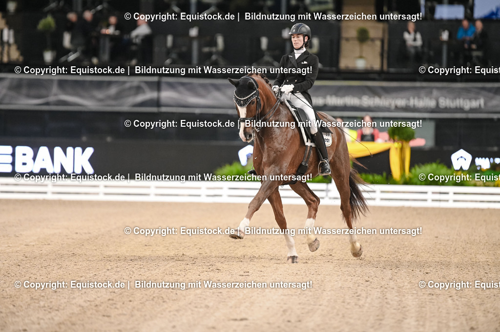 20251112_Dressur_iWest_TOMSPIC_00070007 | Foto: Thomas Hartig