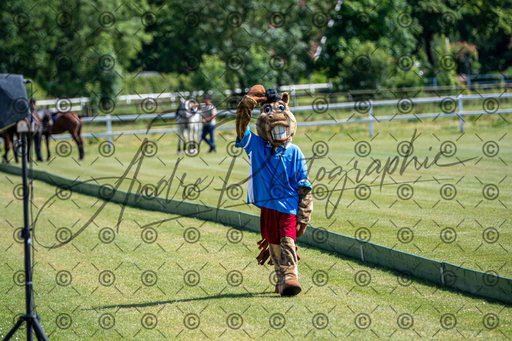 POL_3375 | andre_photographic