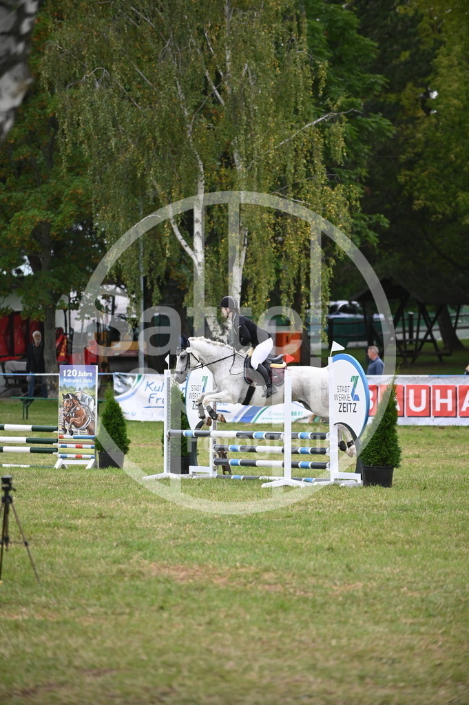 DSC_4256 | sattelsport - Realisiert mit Pictrs.com