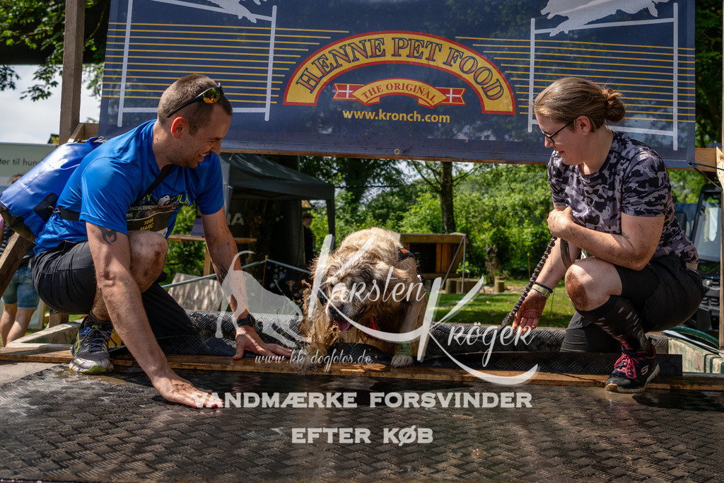 1145_ZZ94840 | kk-dogfotos