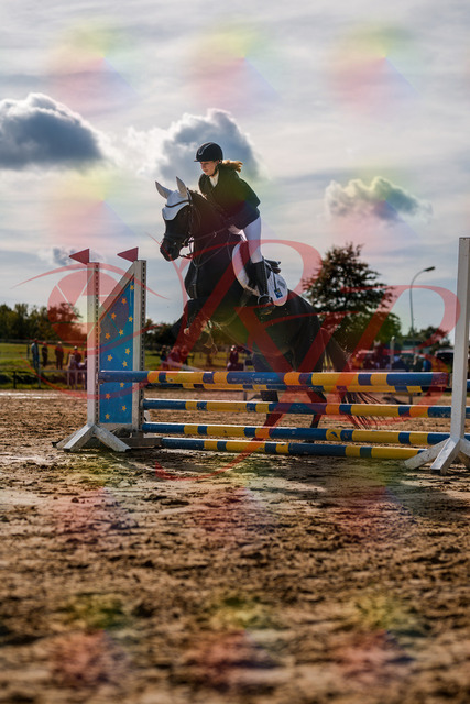 2026_10_03_Siefer-Hof_153537_Z63_07952161 | Professionelle Reitsport-, Turnier- und Eventfotografie von Robert Broda. Galerien mit ausgewählten und bearbeiteten Bildern direkt online ansehen und bestellen.