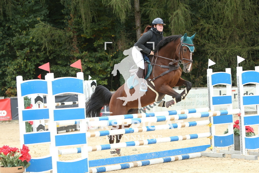 DL2Q6426 | Willkommen bei Brunnmayr - Design & Fotografie – Ihrem Spezialisten für Reitturniere und Pferdeveranstaltungen in Oberösterreich, Salzburg und Bayern! Seit über 17 Jahren sind wir leidenschaftlich dabei.