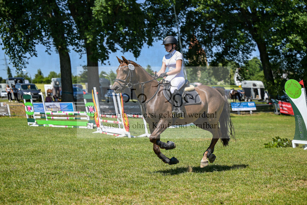 Reitturnier Voxtrup | Entdecke hochwertige Reitturnierfotos von Foto Oger. Professionell, emotional und authentisch – jetzt Lieblingsmomente im Shop bestellen. - Realisiert mit Pictrs.com