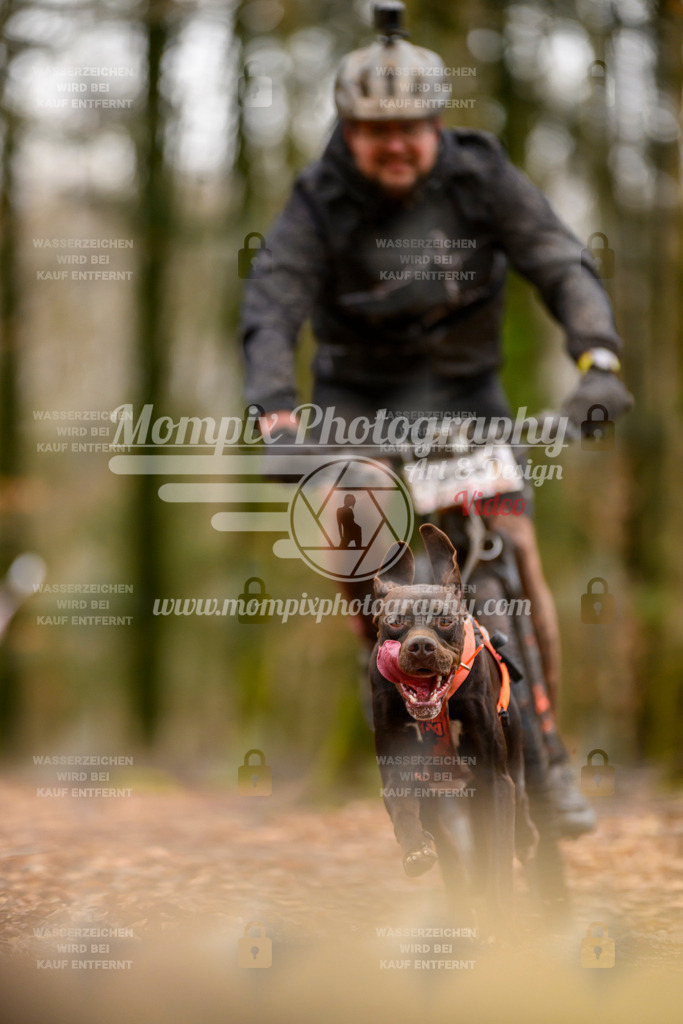 MompixPhotography_Habay2024_SA_Bike-74 | mompixphotography