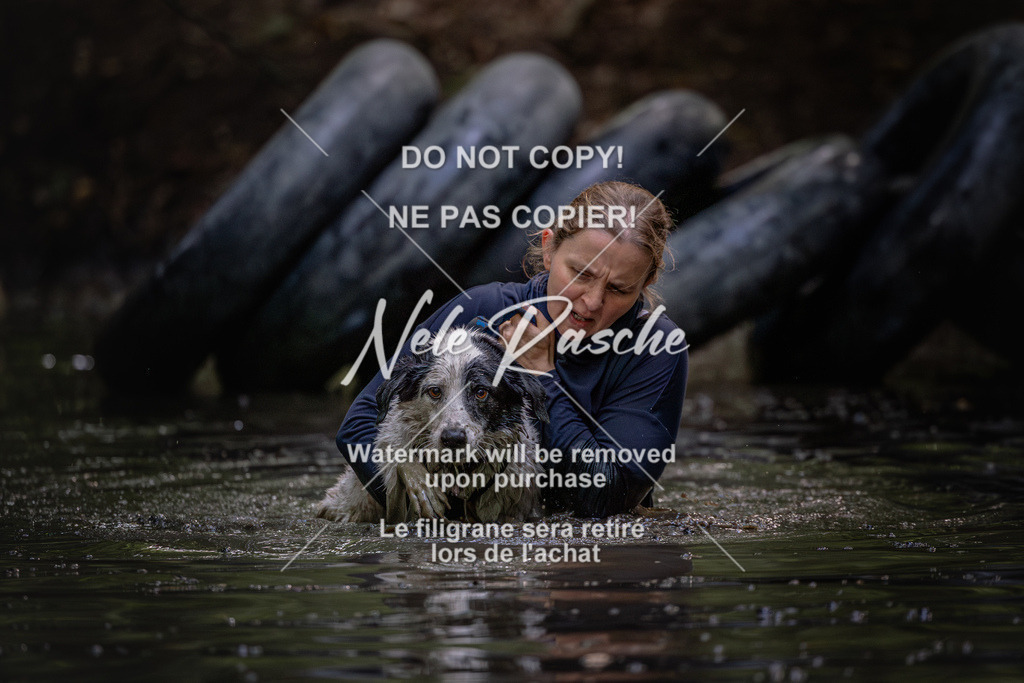 nelerasche_SaWingst1400-1500_395 | nelerasche
