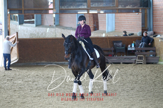 DKP42842 | Turniersportfotografie; Pferdefotografie; Dressurfotografie