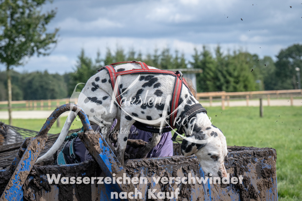 1421_ZZ92109 | kk-dogfotos