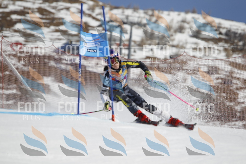 _U3G9068 | holidayphoto