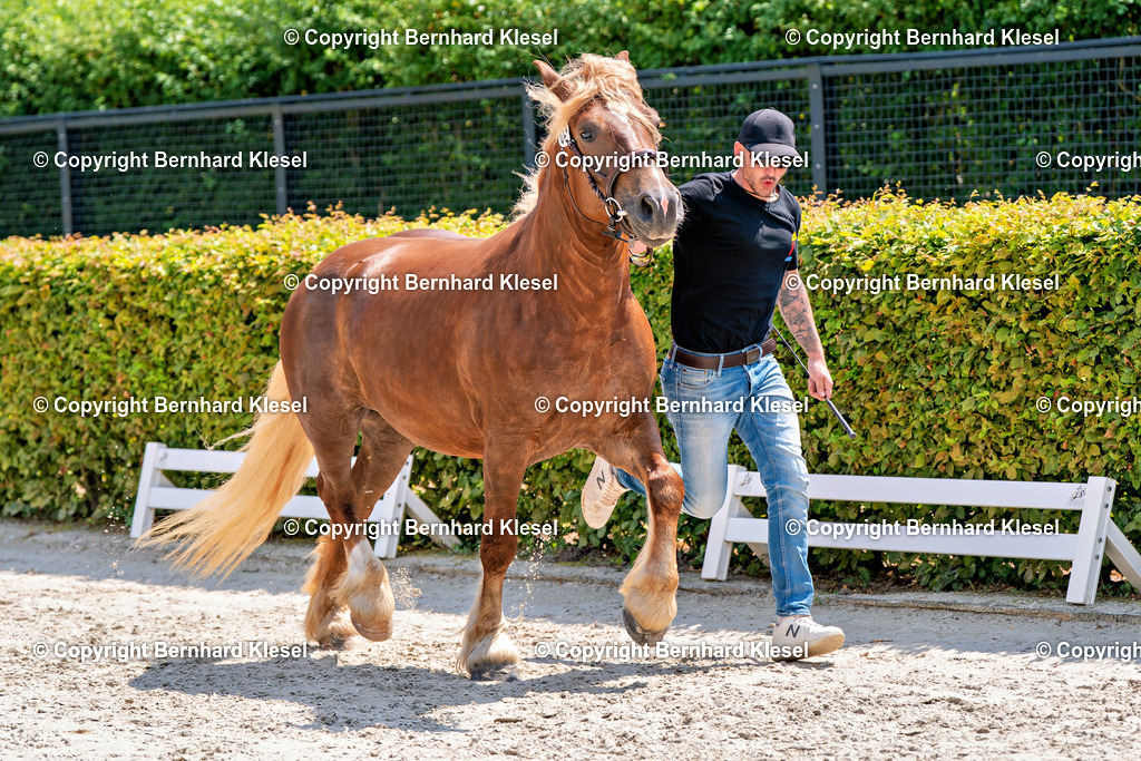 2A900818 | foto-team-bernhard - Realisiert mit Pictrs.com