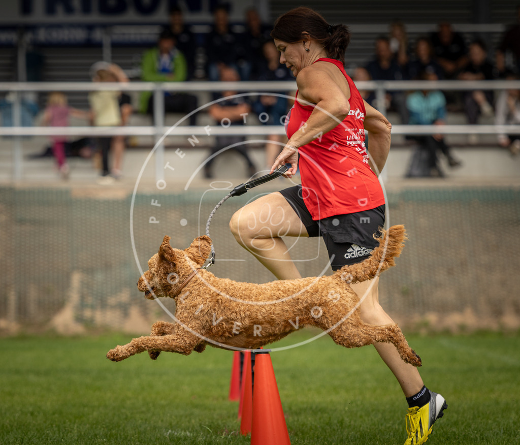 Pfotenfotografie_DV3A1980 | Hundefotografie, Tierfotograf, Pfotenfotografie, Fotoshooting Hund, Hunde Portrait, Hundesport, Hundeportraits, Heideshooting, Hunde, Sportfotograf, Hundefotograf, Turnierhundsport, THS,  - Realisiert mit Pictrs.com