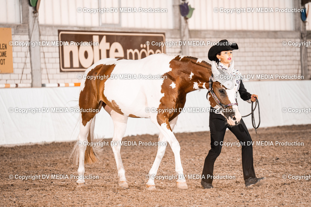 ZH200248 | dv-media-shop - Realisiert mit Pictrs.com